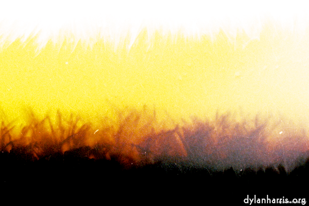image: This is &lsquo;fire (xxvii) 3&rsquo;.
