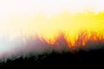image: Image from the photoset &lsquo;fire (xxvii)&rsquo;.