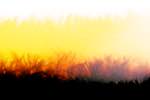 image: Image from the photoset &lsquo;fire (xxvii)&rsquo;.