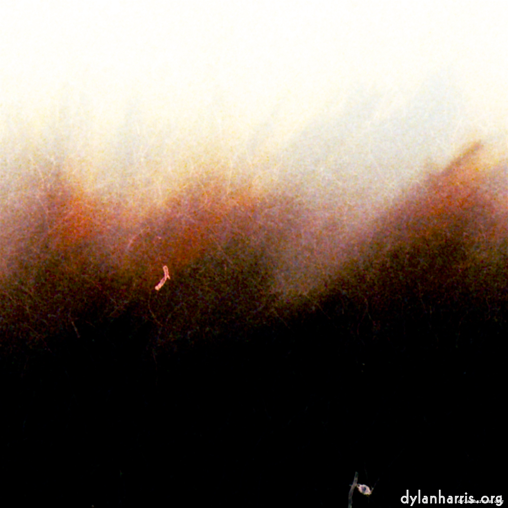 image: This is &lsquo;fire (xxi) 3&rsquo;.