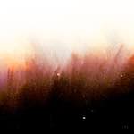 image: Image from the photoset &lsquo;fire (xxi)&rsquo;.