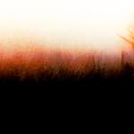 image: Image from the photoset &lsquo;fire (xxi)&rsquo;.