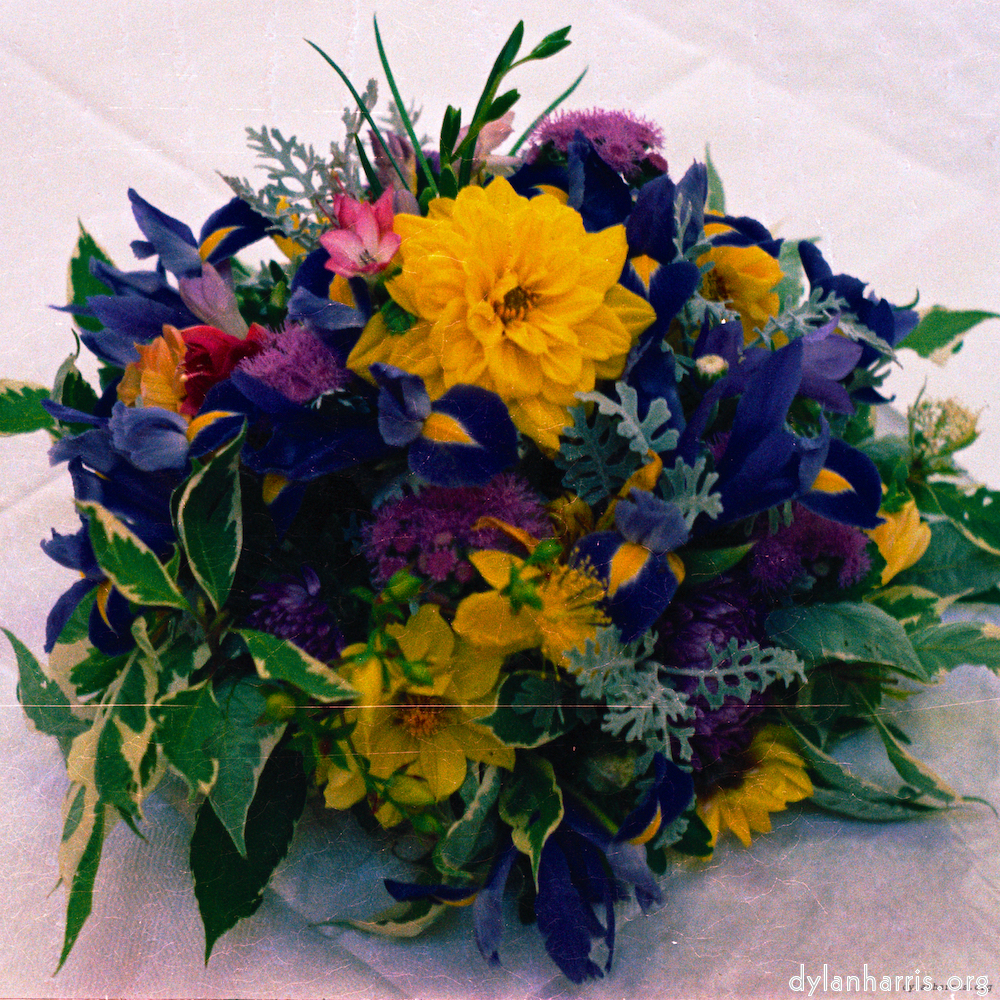 image: This is &lsquo;flower (xi) 4&rsquo;.