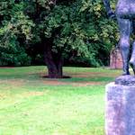 image: Image from the photoset &lsquo;sculpture (i)&rsquo;.