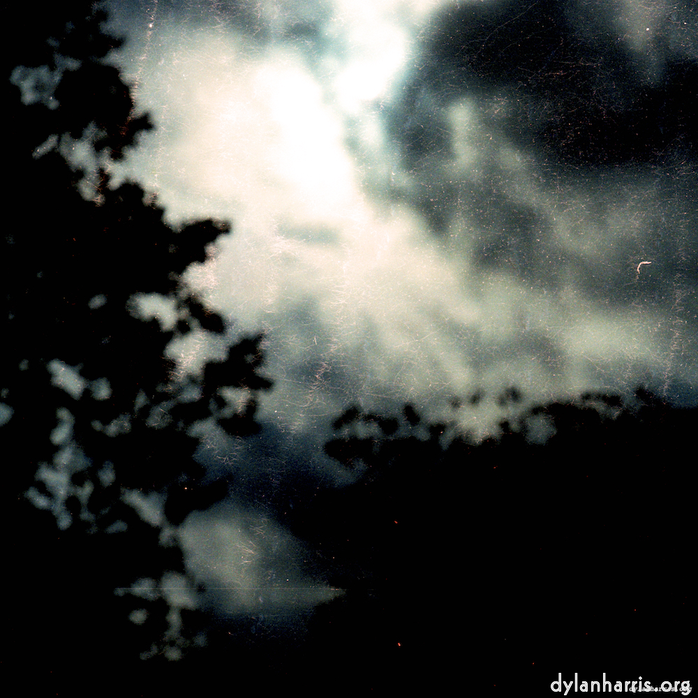 image: This is &lsquo;untitled (xxx) 8&rsquo;.