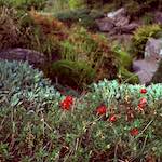 image: Image from the photoset &lsquo;revisited (v)&rsquo;.