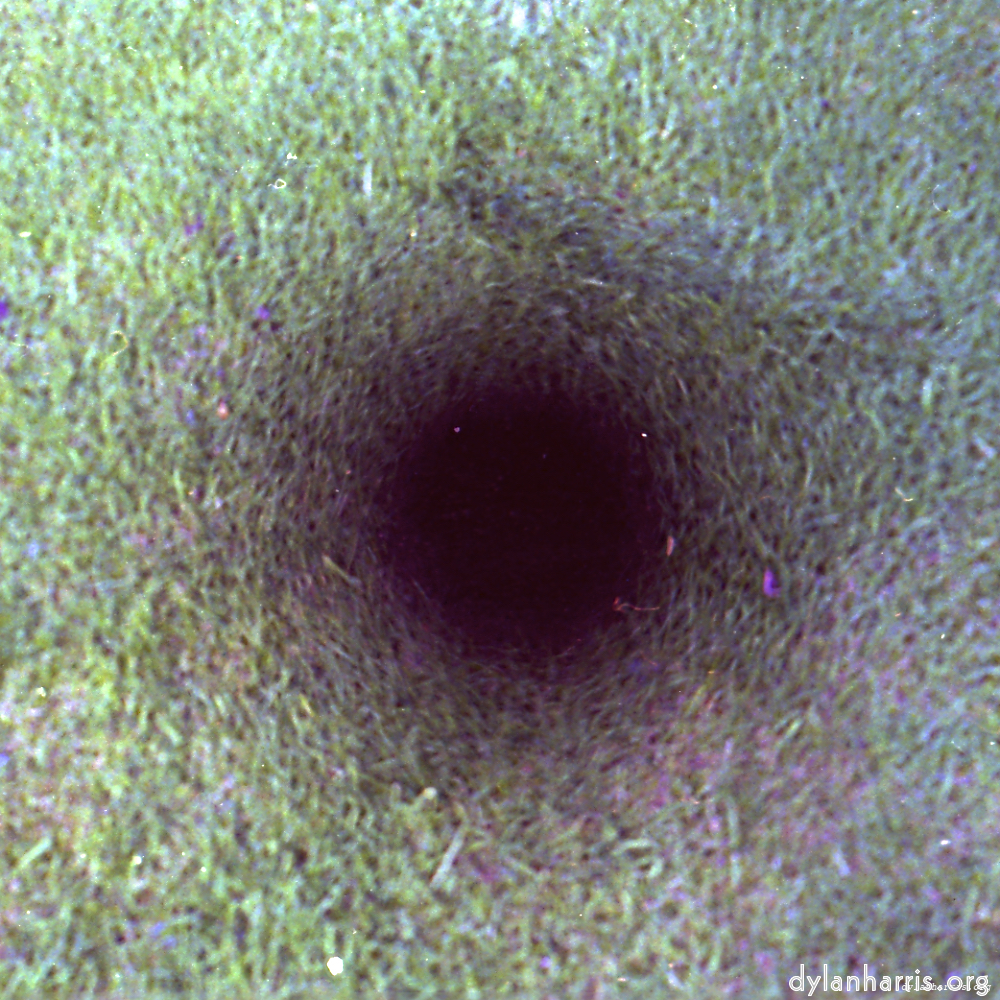image: This is &lsquo;revisited (ix) 8&rsquo;.
