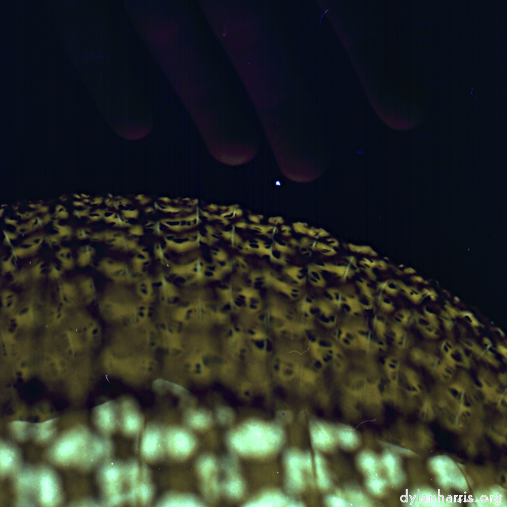 image: This is &lsquo;revisited (x) 5&rsquo;.