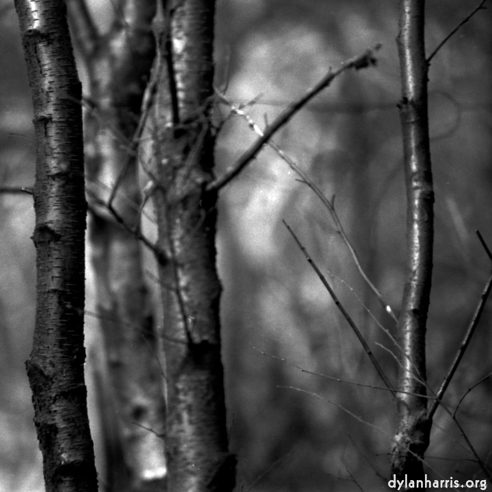 Image 'revisited (xix) 2'.