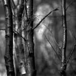 image: Image from the photoset &lsquo;revisited (xix)&rsquo;.