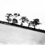 image: Image from the photoset &lsquo;revisited (xix)&rsquo;.