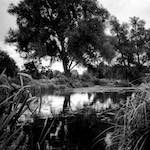 image: Image from the photoset &lsquo;revisited (xix)&rsquo;.
