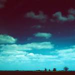 image: Image from the photoset &lsquo;fen (iv)&rsquo;.