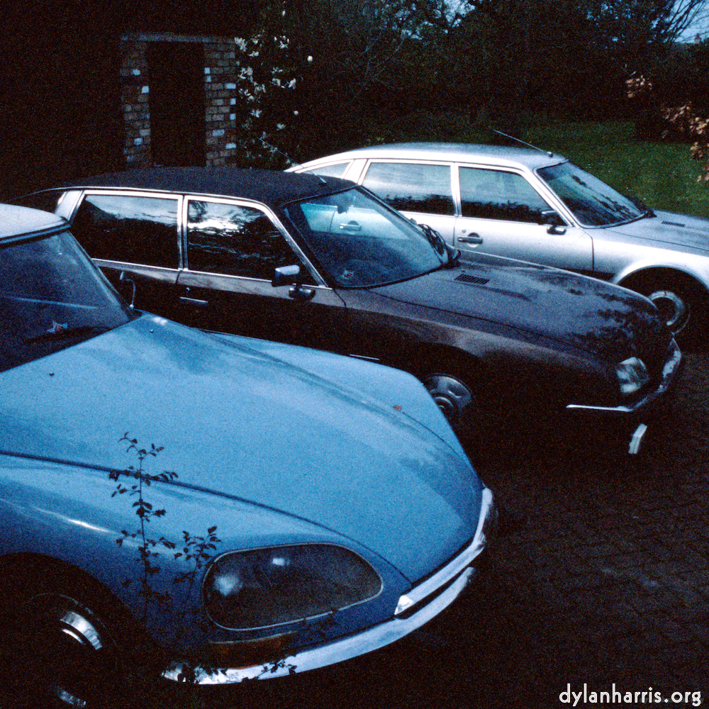 image: This is &lsquo;citro&euml;n (xxi) 1&rsquo;.