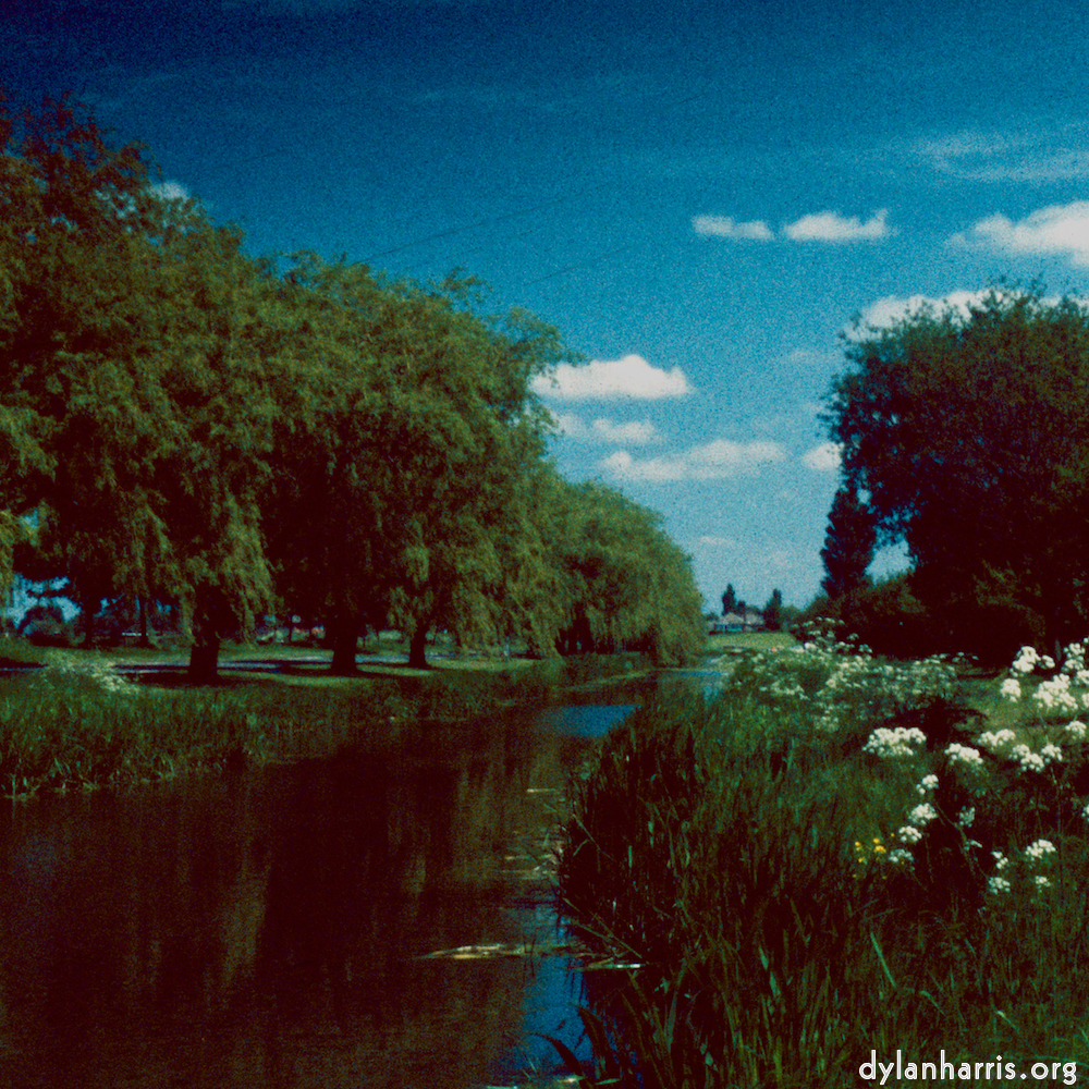 image: This is &lsquo;crowland 3&rsquo;.