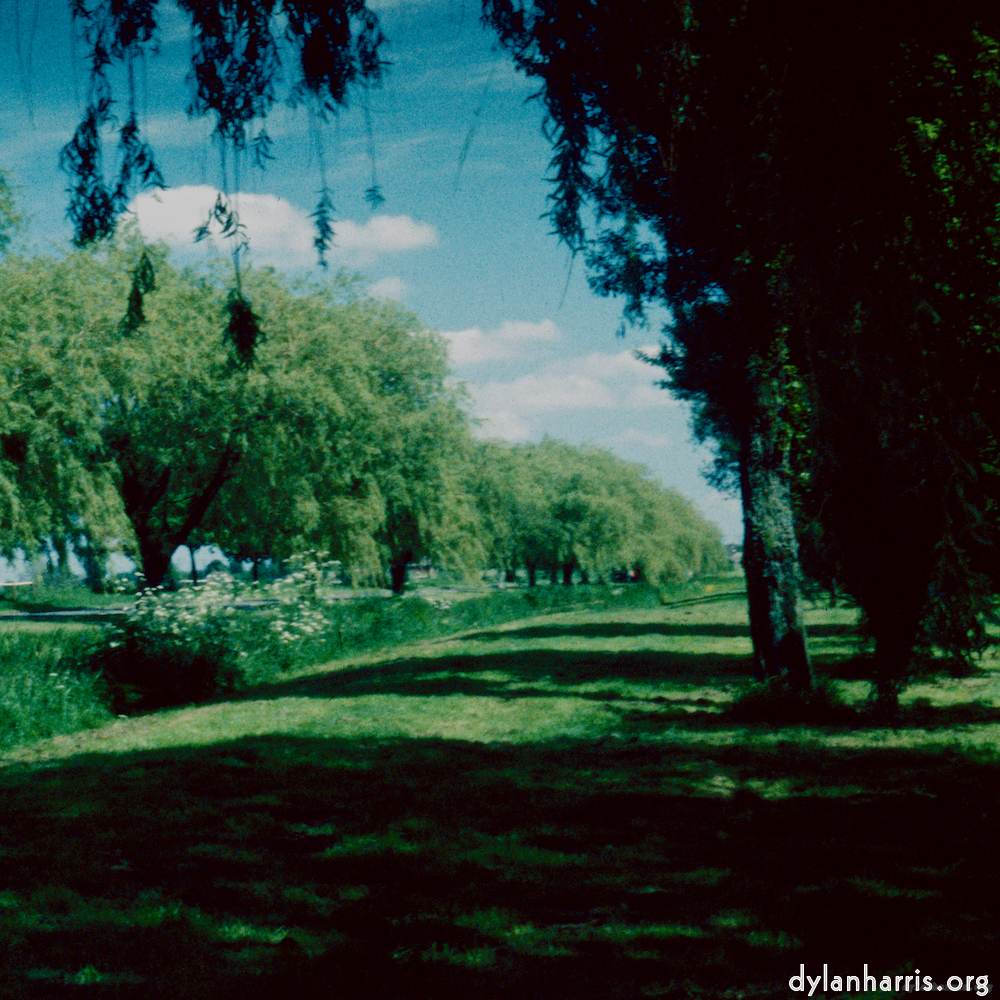 image: This is &lsquo;crowland 5&rsquo;.