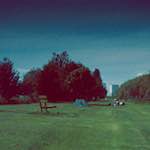 image: Image from the photoset &lsquo;crowland&rsquo;.