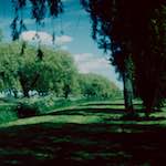 image: Image from the photoset &lsquo;crowland&rsquo;.