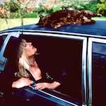image: Image from the photoset &lsquo;dawn (vii)&rsquo;.