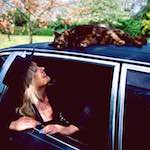 image: Image from the photoset &lsquo;dawn (vii)&rsquo;.