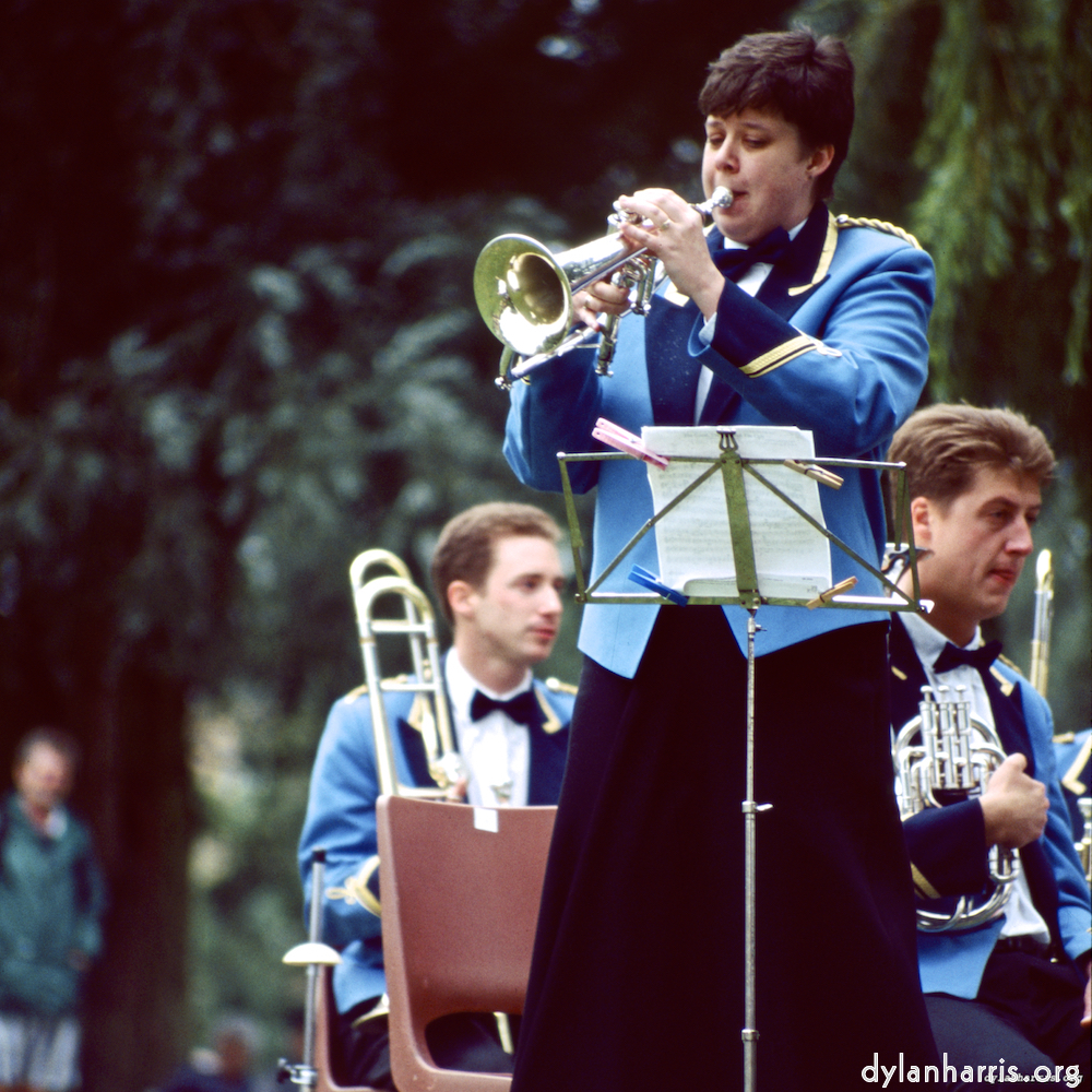 image: This is &lsquo;brass 8&rsquo;.