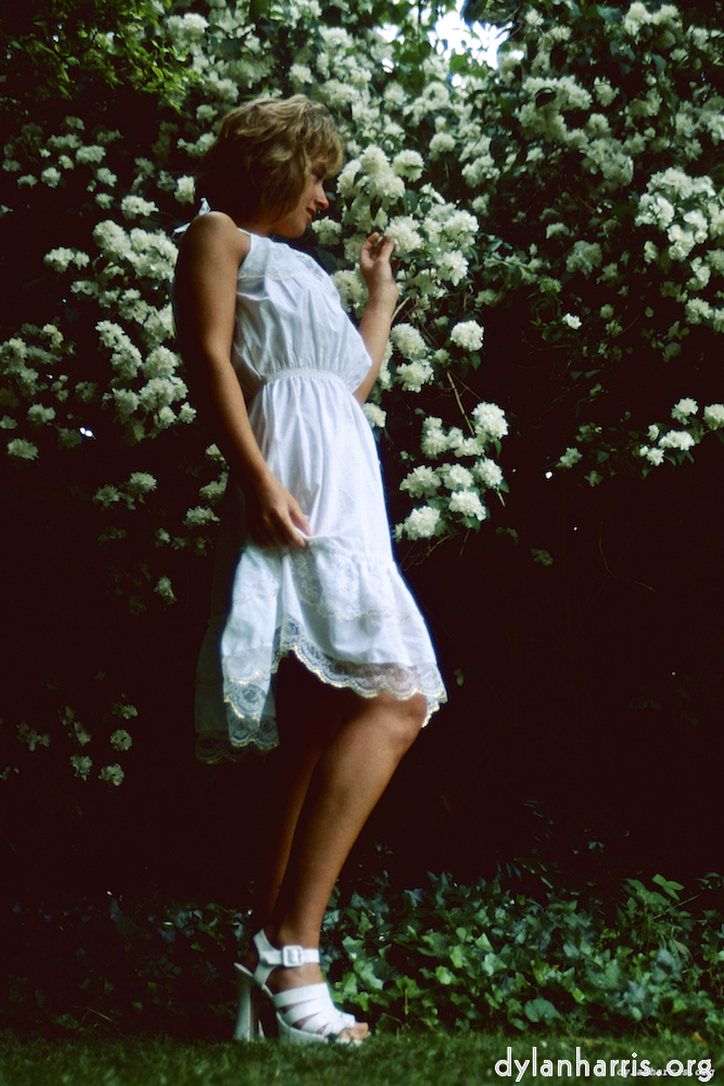 image: This is &lsquo;lisa (xvi) 3&rsquo;.