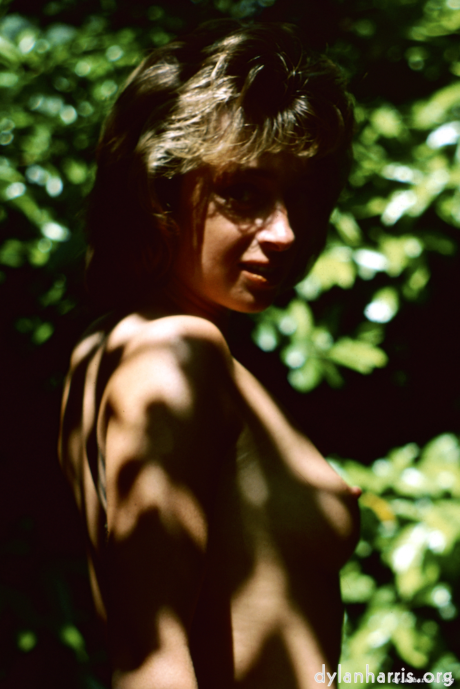 image: This is &lsquo;lisa (xvi) 5&rsquo;.