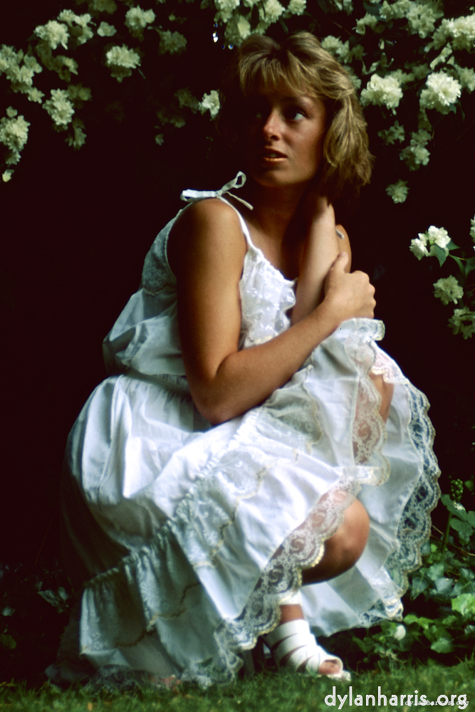 image: This is &lsquo;lisa (xvi) 7&rsquo;.