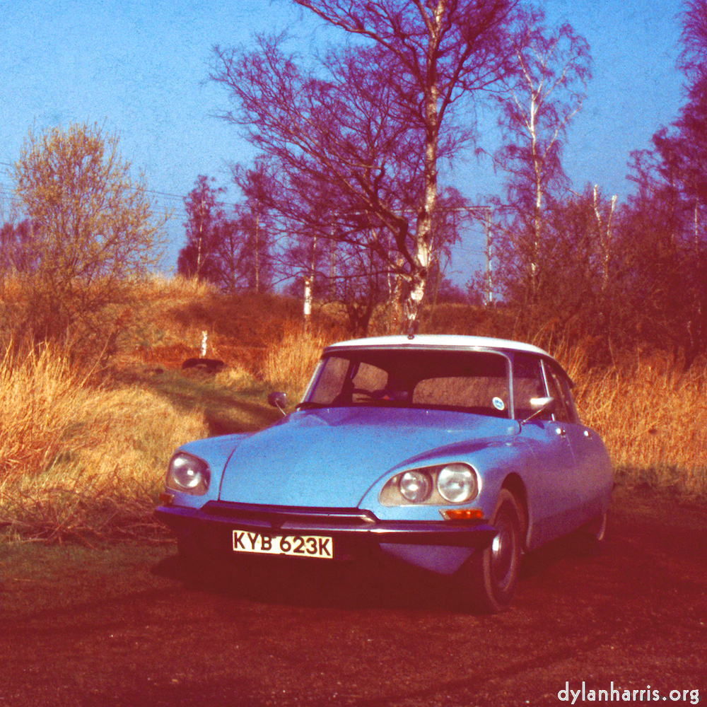 image: This is &lsquo;citro&euml;n (xvii) 1&rsquo;.