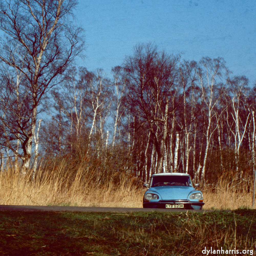 image: This is &lsquo;citro&euml;n (xvii) 3&rsquo;.