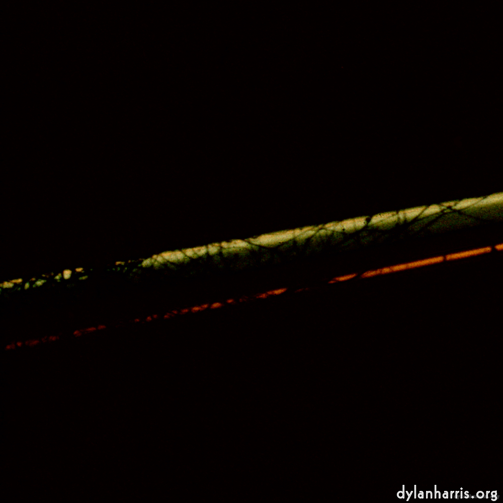 image: This is &lsquo;train (xii) 5&rsquo;.