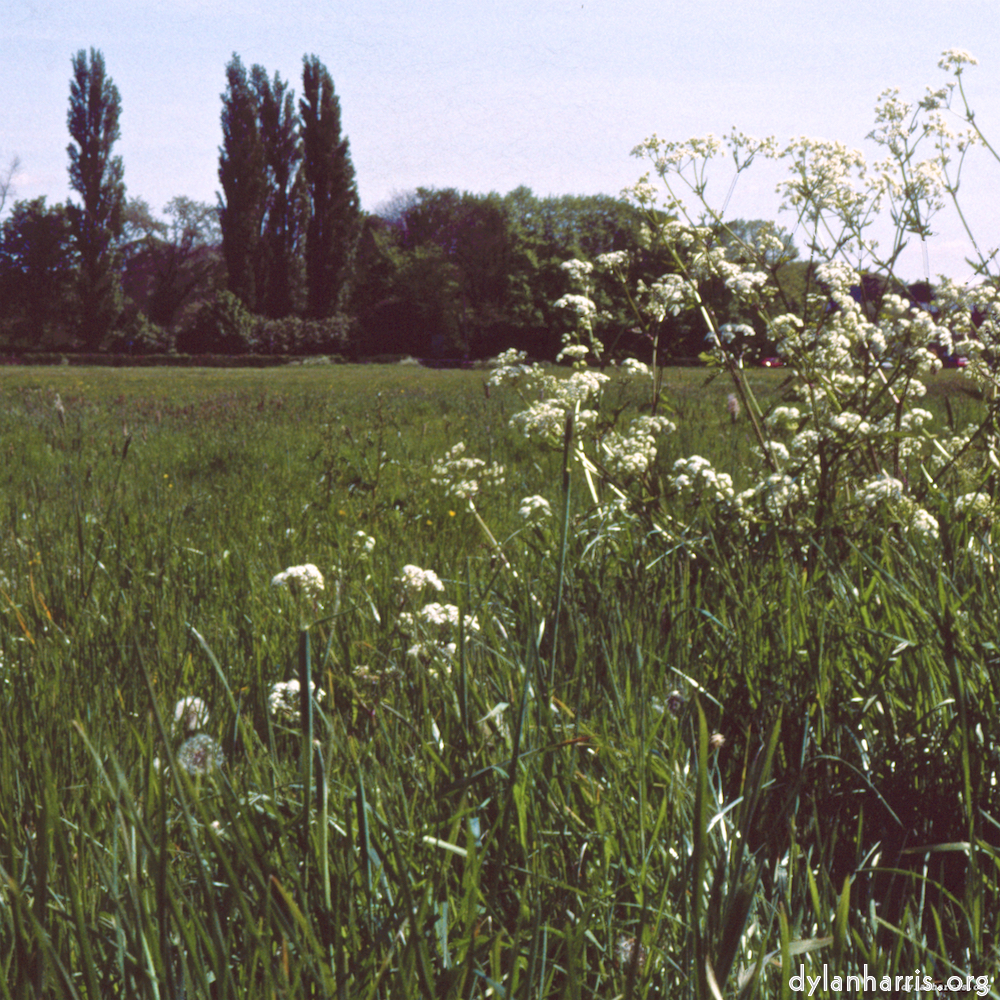 image: This is &lsquo;south (i) 4&rsquo;.