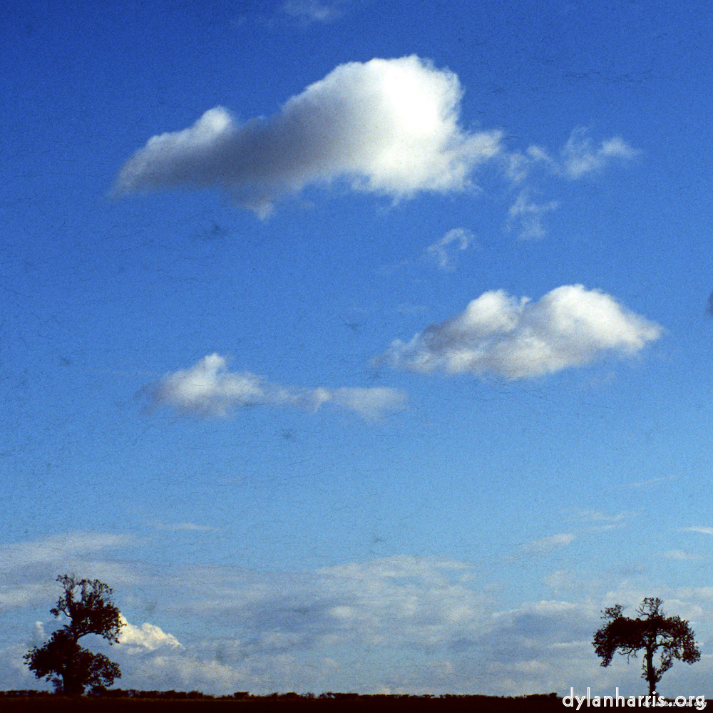 image: This is &lsquo;south (i) 5&rsquo;.
