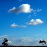 image: Image from the photoset &lsquo;south (i)&rsquo;.