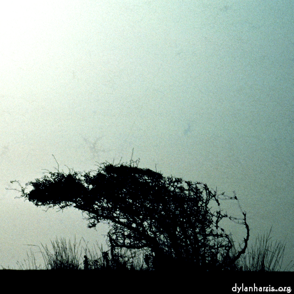 image: This is &lsquo;untitled (xli) 8&rsquo;.