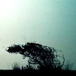 image: Image from the photoset &lsquo;untitled (xli)&rsquo;.