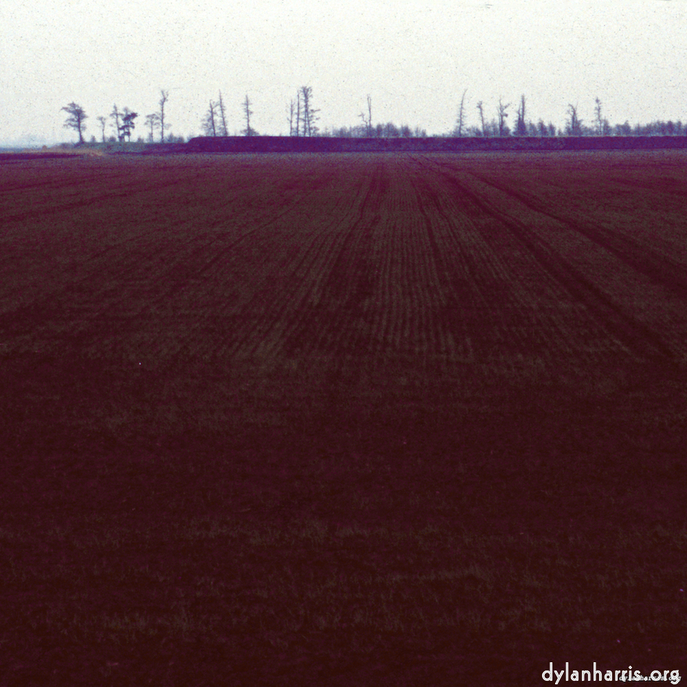 image: This is &lsquo;fen (v) 5&rsquo;.