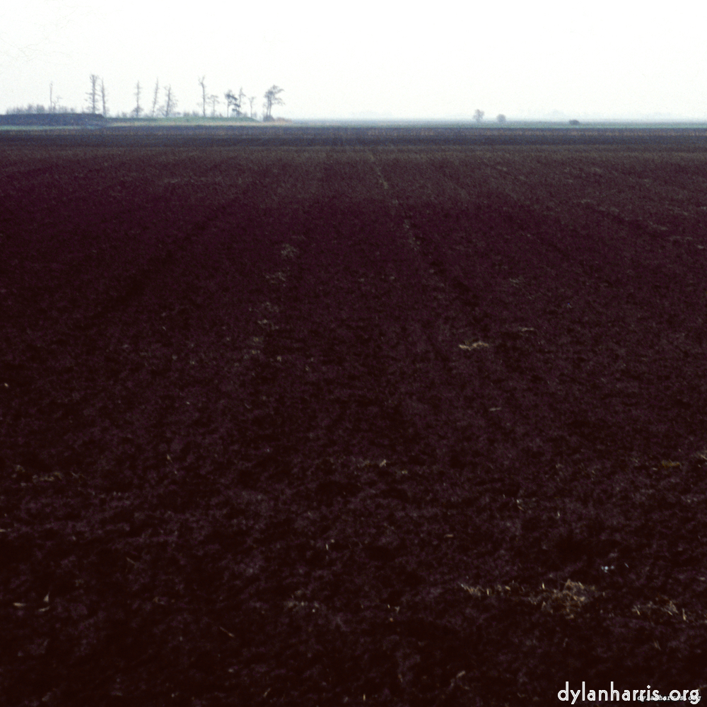 Image 'fen (v) 7'.