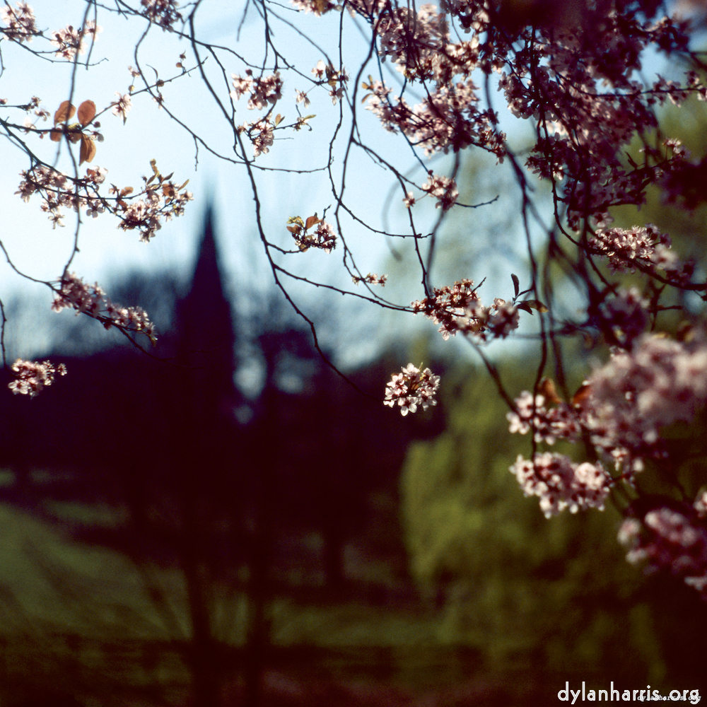 image: fen