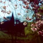 image: june