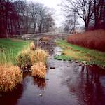 image: Image from the photoset &lsquo;barnwell (i)&rsquo;.