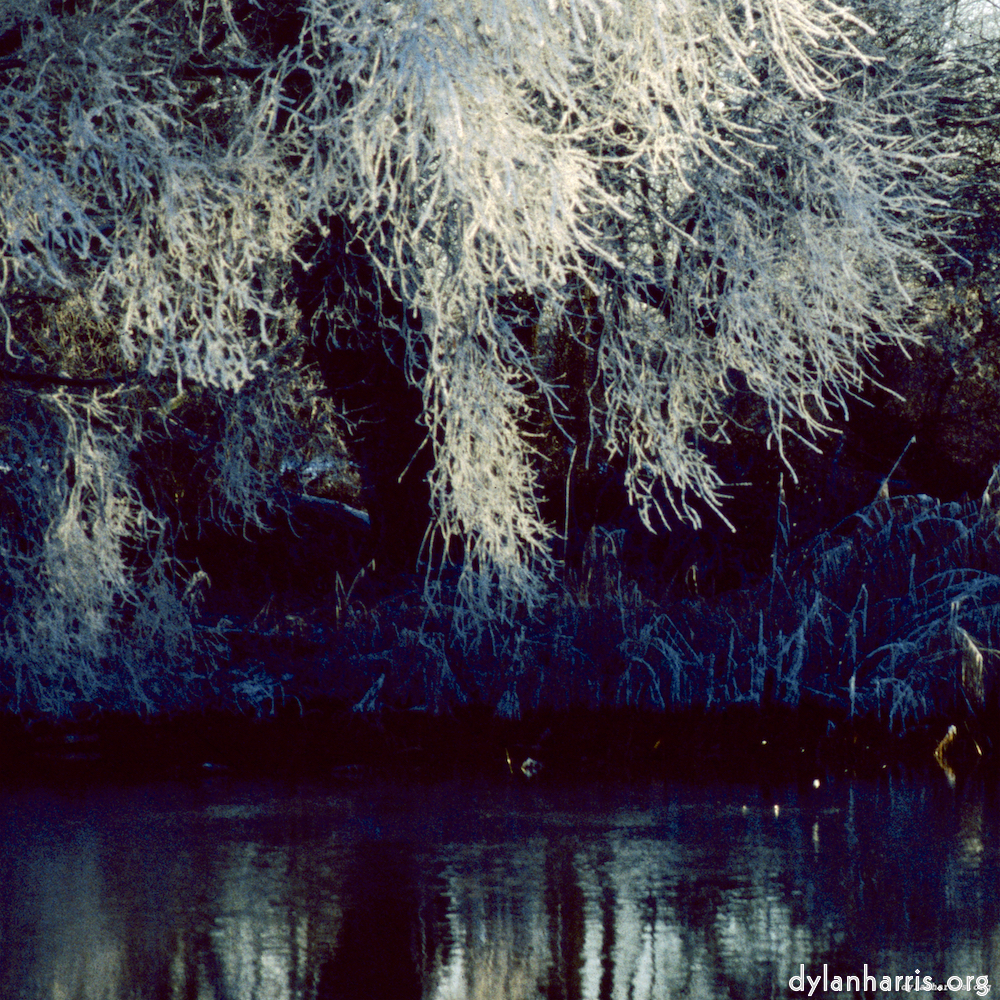 image: This is &lsquo;st. neots park (v) 4&rsquo;.