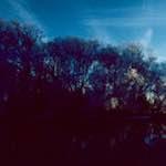 image: Image from the photoset &lsquo;st. neots park (v)&rsquo;.