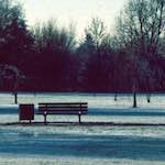 image: Image from the photoset &lsquo;st. neots park (v)&rsquo;.
