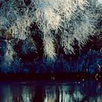 image: Image from the photoset &lsquo;st. neots park (v)&rsquo;.