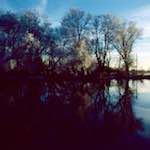image: Image from the photoset &lsquo;st. neots park (v)&rsquo;.