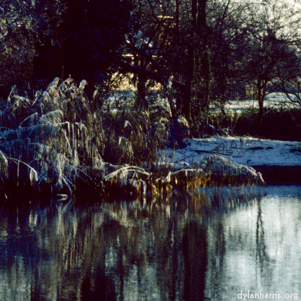 image: This is &lsquo;st. neots park (vi) 4&rsquo;.