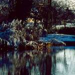 image: Image from the photoset &lsquo;st. neots park (vi)&rsquo;.