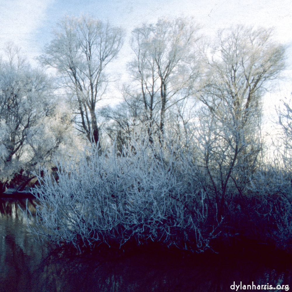 image: This is &lsquo;st. neots park (vii) 1&rsquo;.