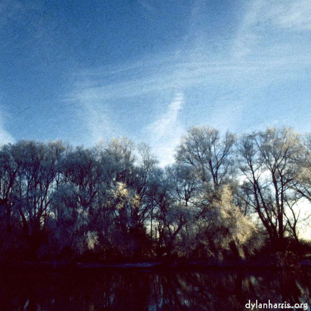 image: Voici &lsquo;parc de st/ neots (vii) 2&rsquo;.